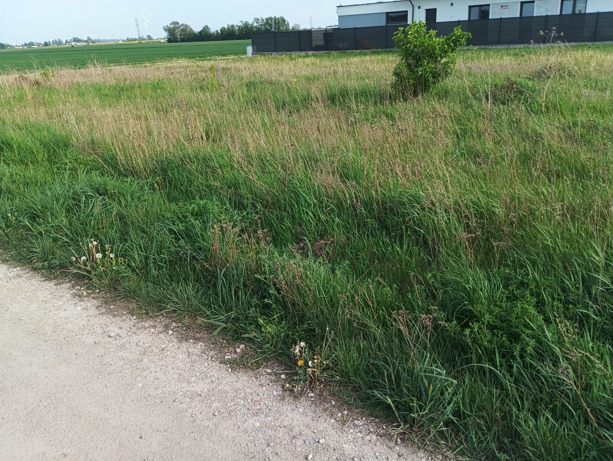 Działka budowlana Chrzanówek, ul. Widokowa. Zdjęcie 2