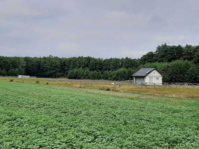 Działka rolno-budowlana Pokrzywnica. Zdjęcie 1