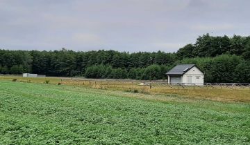 Działka rolno-budowlana Pokrzywnica