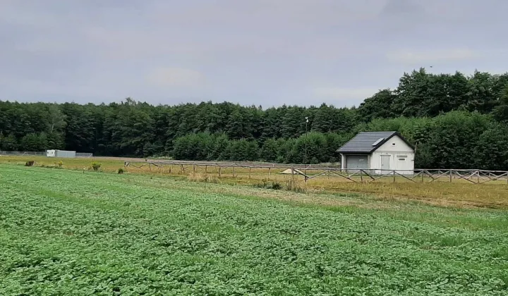Działka rolno-budowlana Pokrzywnica