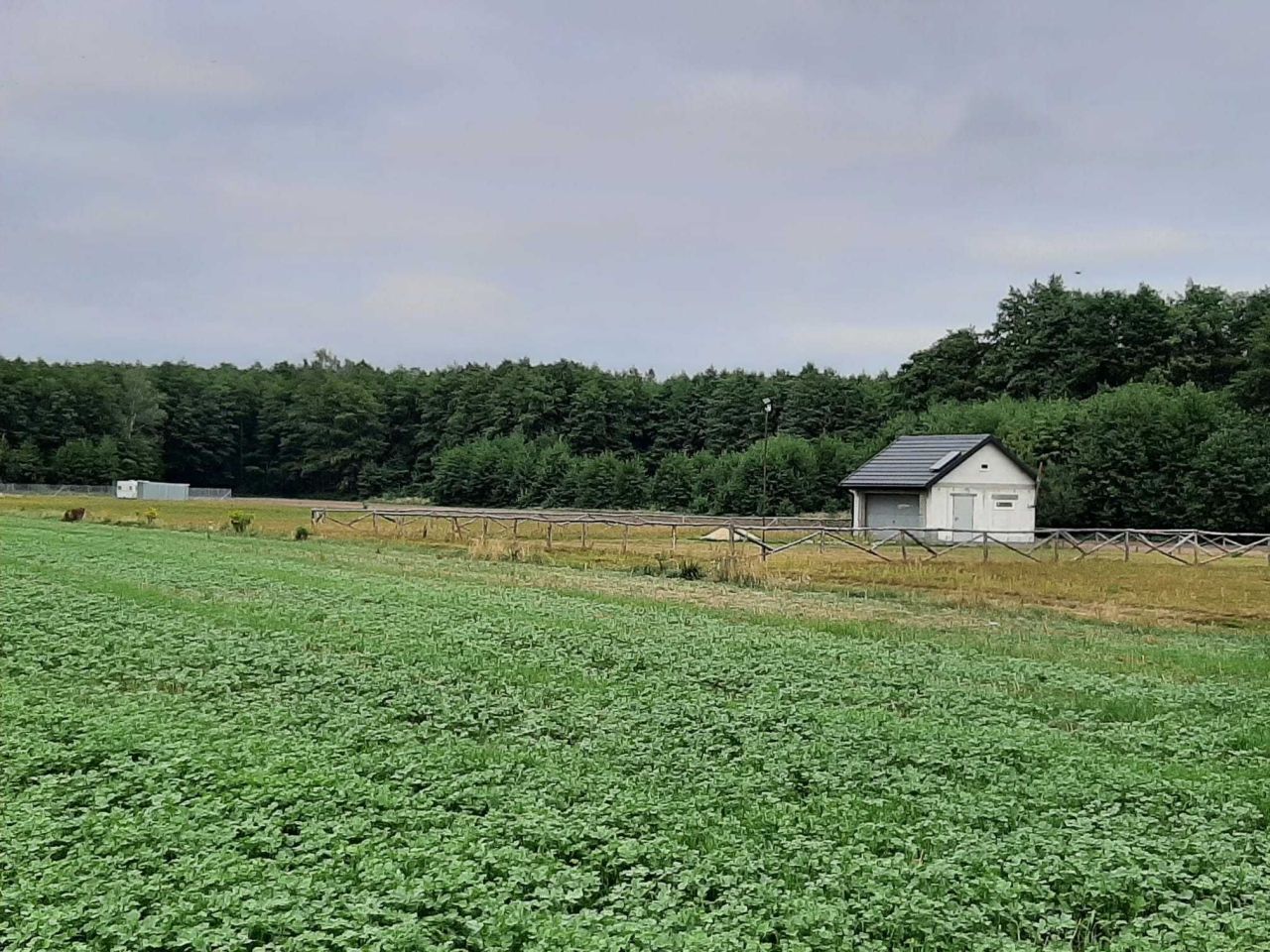 Działka rolno-budowlana Pokrzywnica