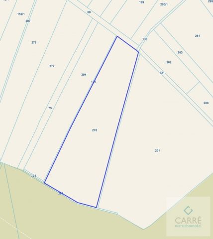 Działka rolna Budzieszewice. Zdjęcie 1