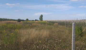 Działka rolna Nowy Franciszków