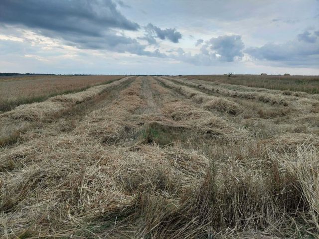 Działka rolna Jakubów. Zdjęcie 1