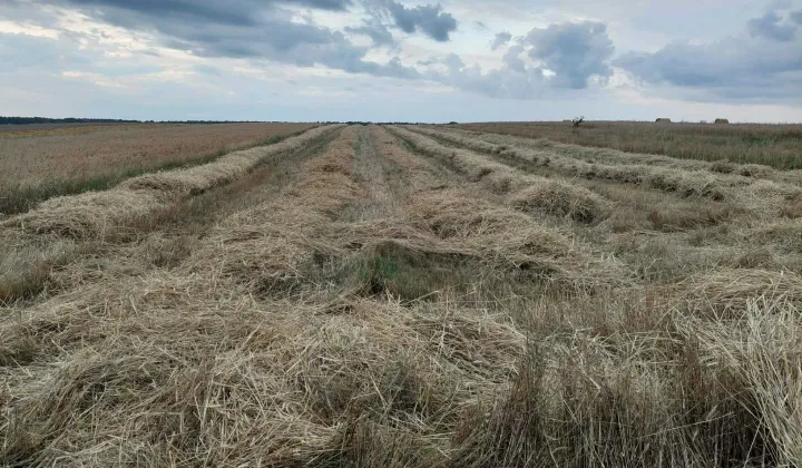 Działka rolna Jakubów