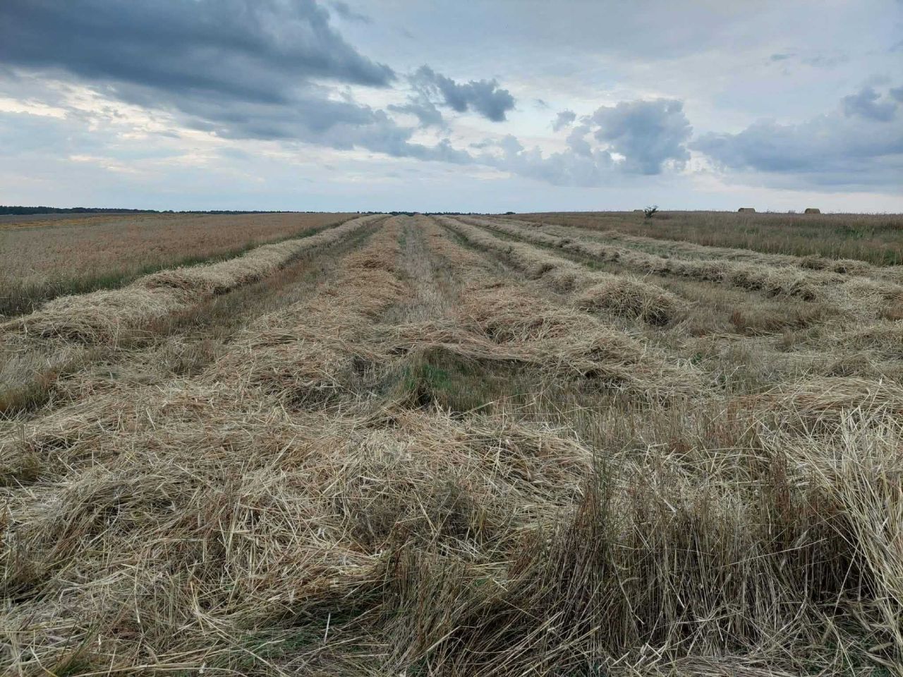 Działka rolna Jakubów. Zdjęcie 1