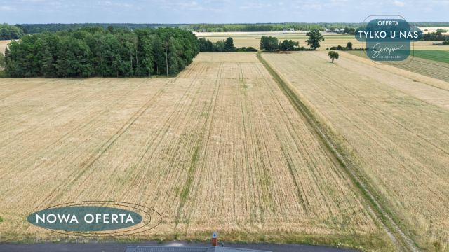 Działka budowlana Pratków. Zdjęcie 4