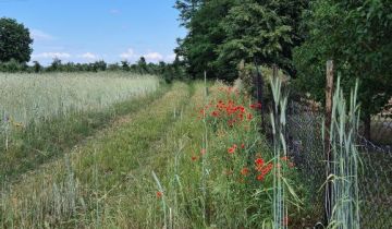 Działka rolno-budowlana Grudzkowola