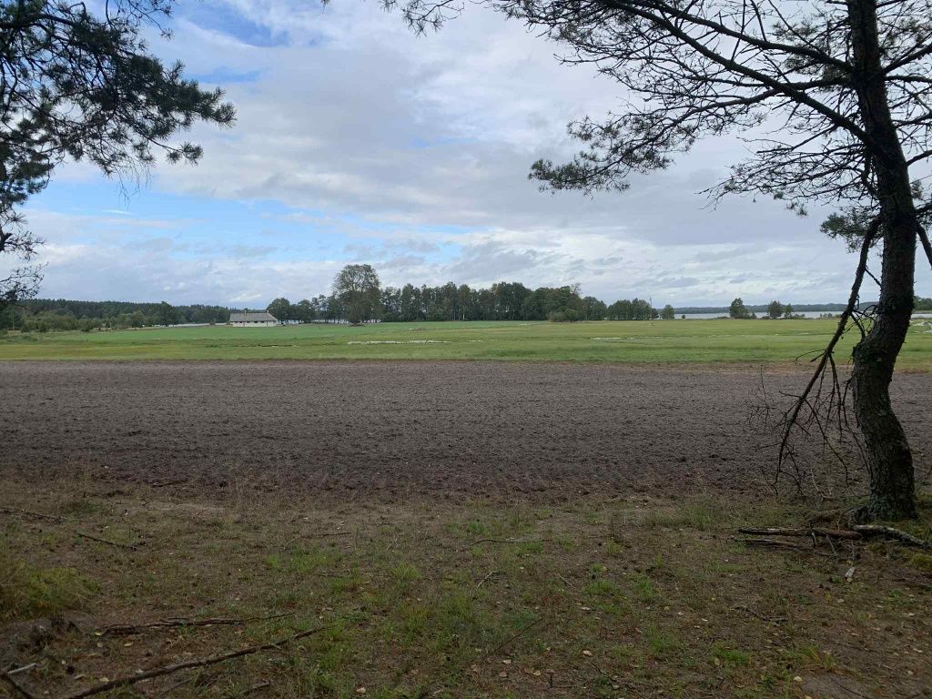 Działka rolna Kruszyn. Zdjęcie 4