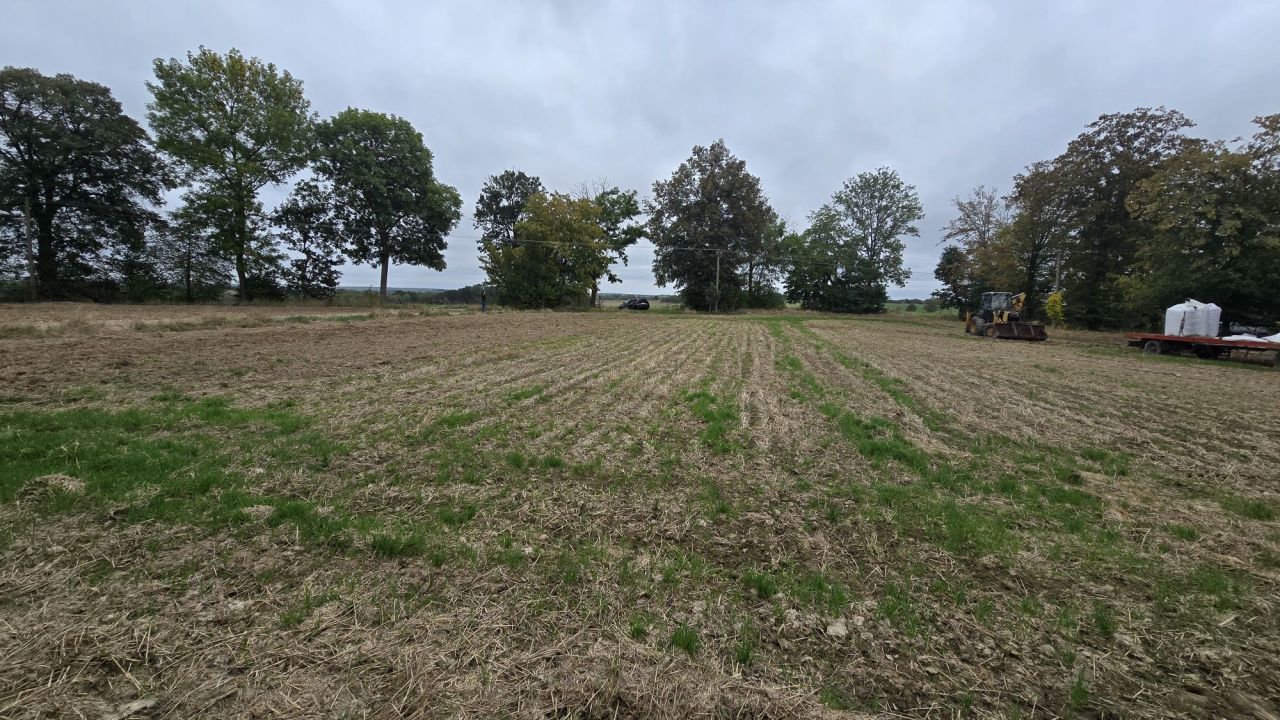 Działka rolno-budowlana Tokarówka. Zdjęcie 4