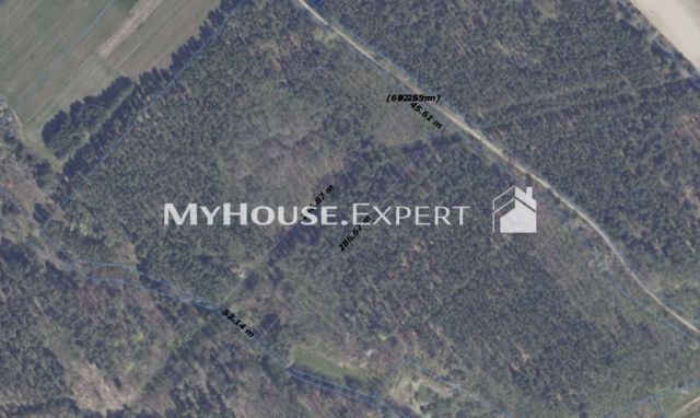 Działka leśna Krześniczka. Zdjęcie 3