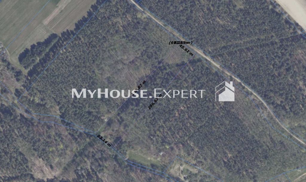 Działka leśna Krześniczka. Zdjęcie 3