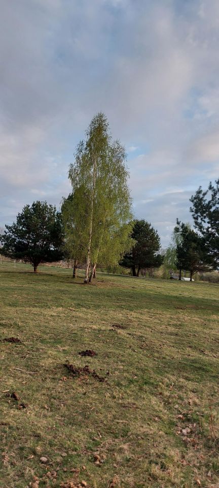 Działka siedliskowa Różnowo, Różnowo. Zdjęcie 3