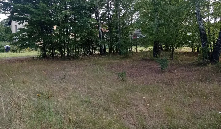 Działka budowlana Wola Prażmowska, ul. Północna