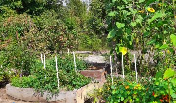 Działka rod Gliwice Stare Gliwice, ul. Kozłowska