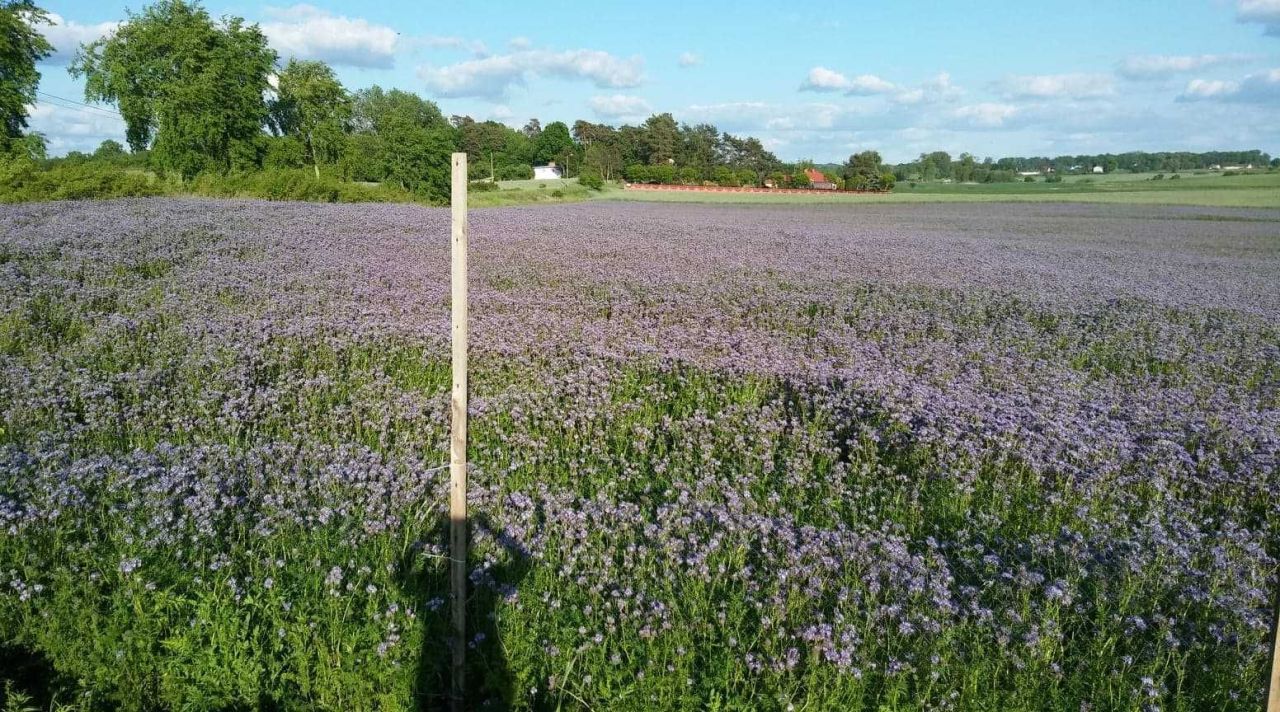Działka budowlana Nowy Klukom. Zdjęcie 3