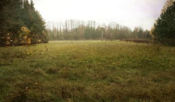 Działka siedliskowa Skuły