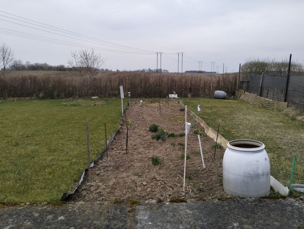 Działka rekreacyjna Sianów. Zdjęcie 2