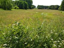 Działka budowlana Trypucie. Zdjęcie 1