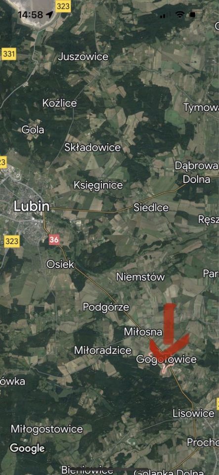 Działka inwestycyjna Gogołowice. Zdjęcie 3