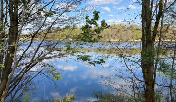 Działka siedliskowa Grzybiny
