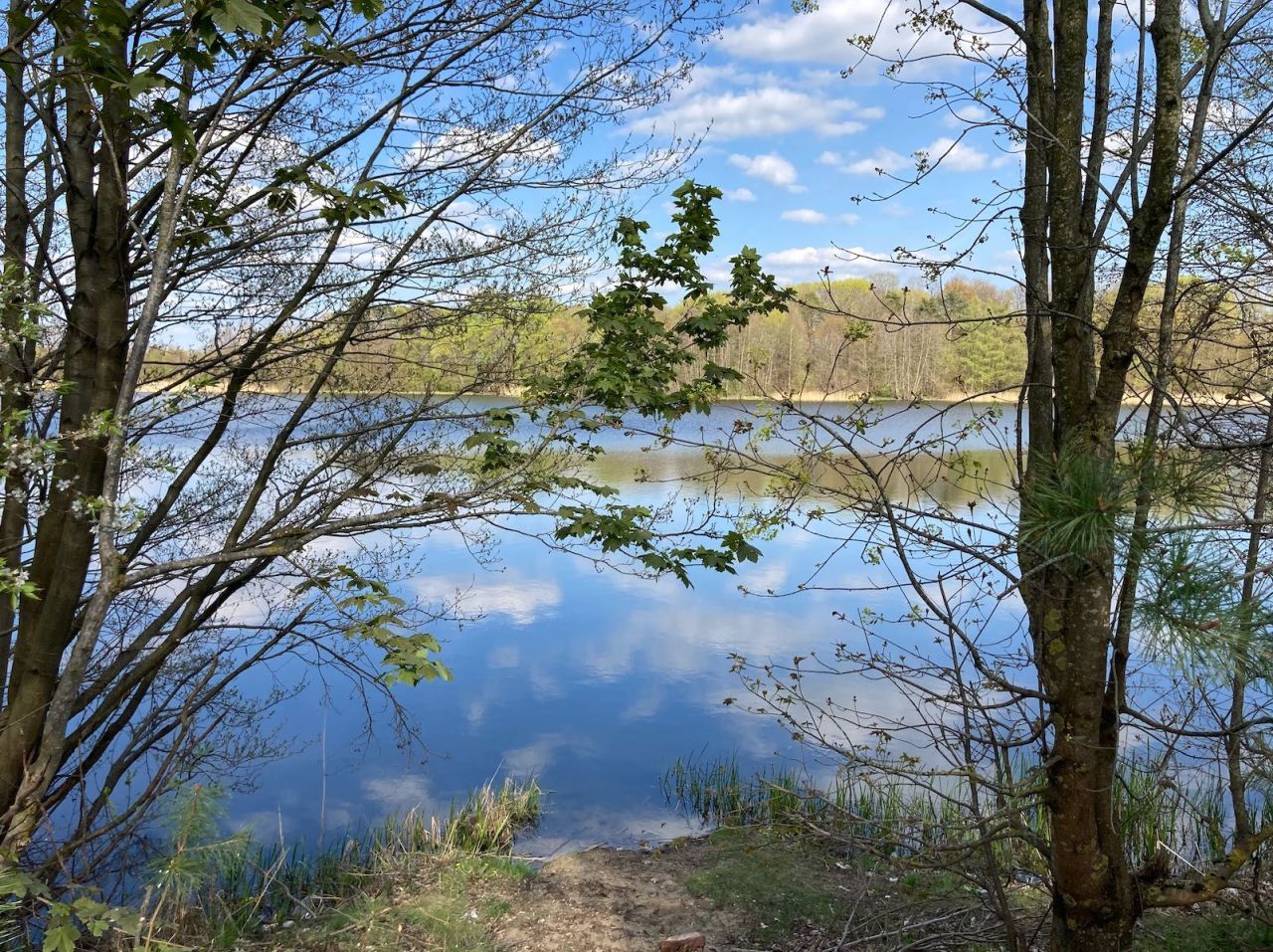 Działka siedliskowa Grzybiny. Zdjęcie 2
