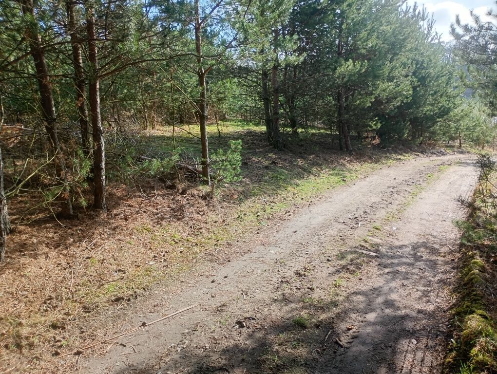 Działka budowlana Żabno. Zdjęcie 5