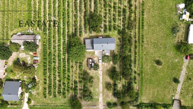 Działka rolna Świdno. Zdjęcie 7