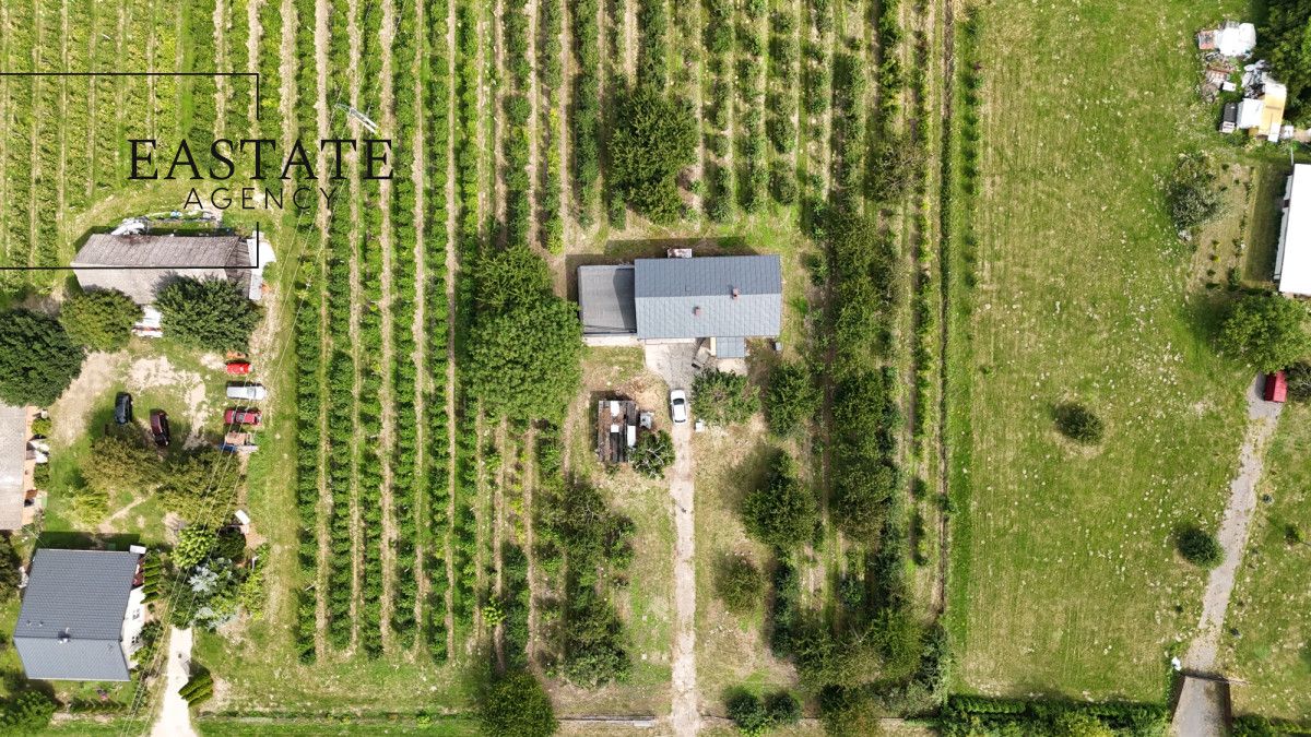 Działka rolna Świdno. Zdjęcie 7