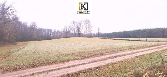 Działka budowlana Latowicz. Zdjęcie 3