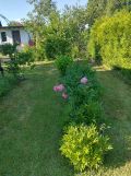 Działka rod Tychy. Zdjęcie 2