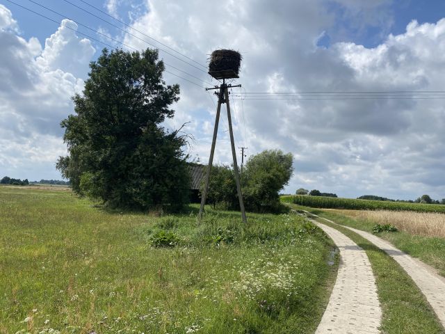 Działka siedliskowa Pawluki Siedliska. Zdjęcie 1