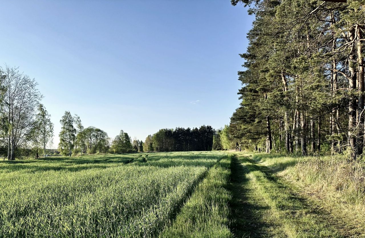 Działka budowlana Jaźwiny, ul. Leśna