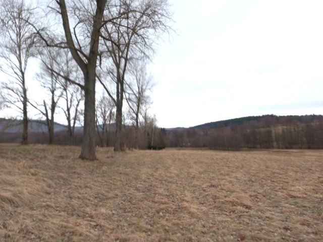 Działka budowlana Starkówek. Zdjęcie 8