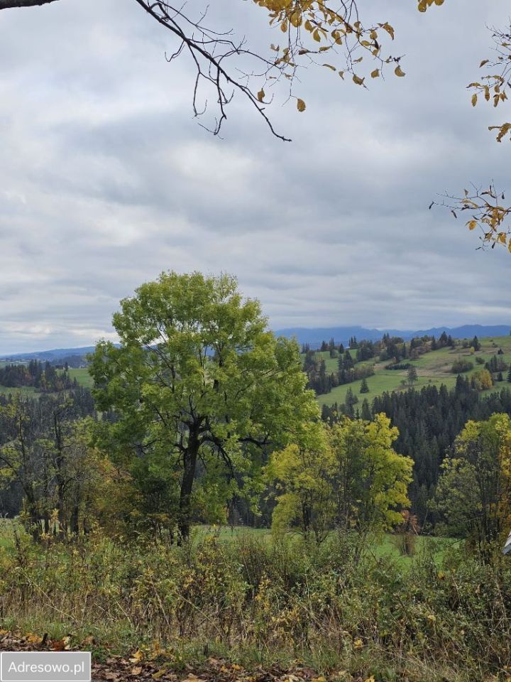 dom wolnostojący, 4 pokoje Bustryk. Zdjęcie 6