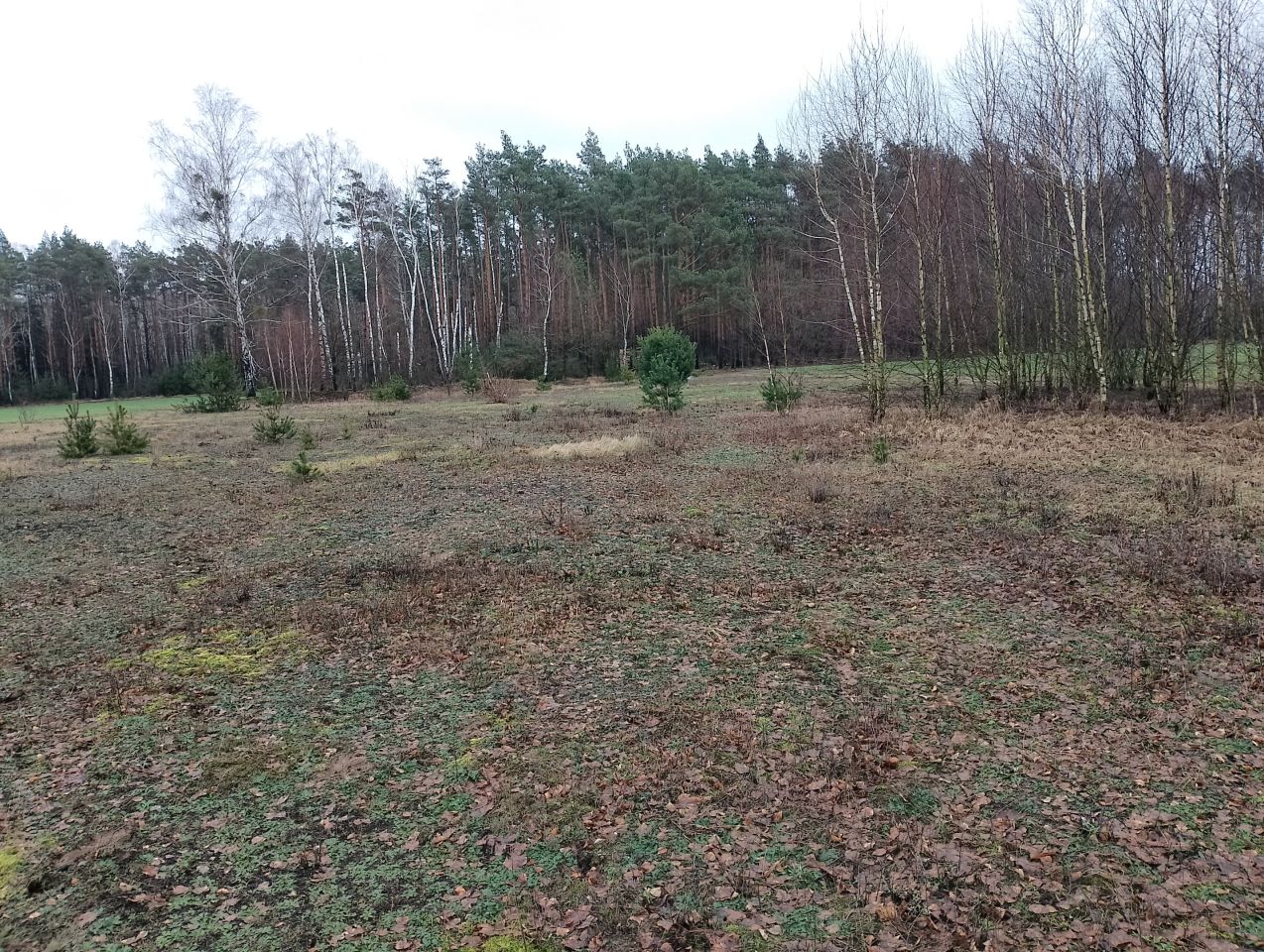 Działka budowlana Cisse. Zdjęcie 9