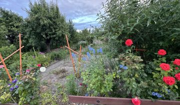 Działka rod Rawicz, ul. Życzliwa