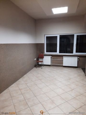 Lokal Kazimierza Wielka, ul. Partyzantów. Zdjęcie 6