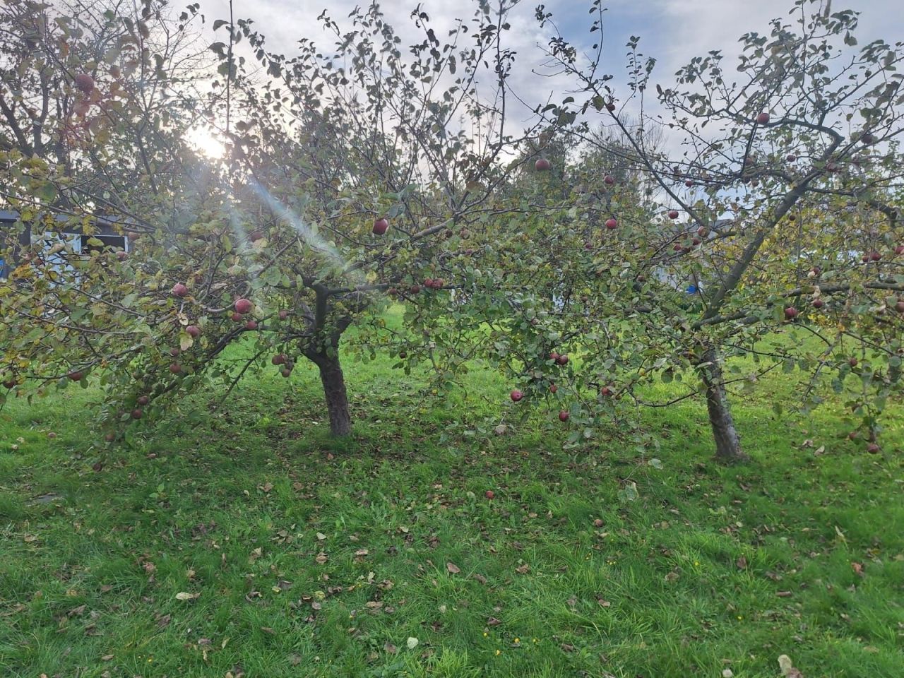 Działka rod Gdynia Obłuże. Zdjęcie 7