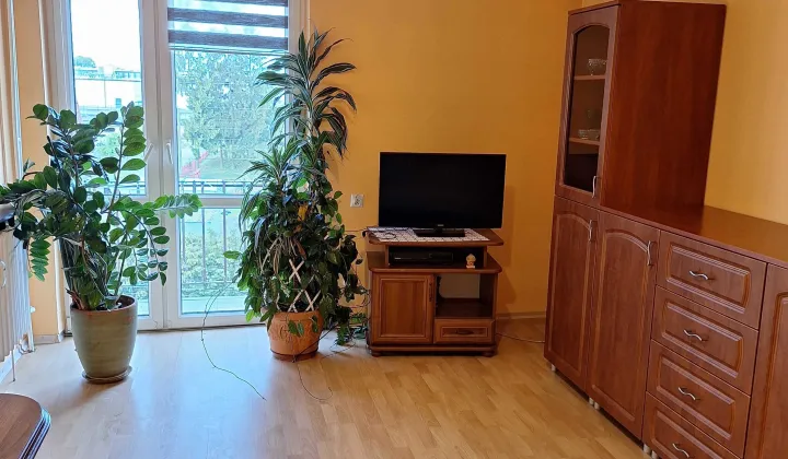 Mieszkanie 3-pokojowe Jędrzejów, ul. Romana Dmowskiego