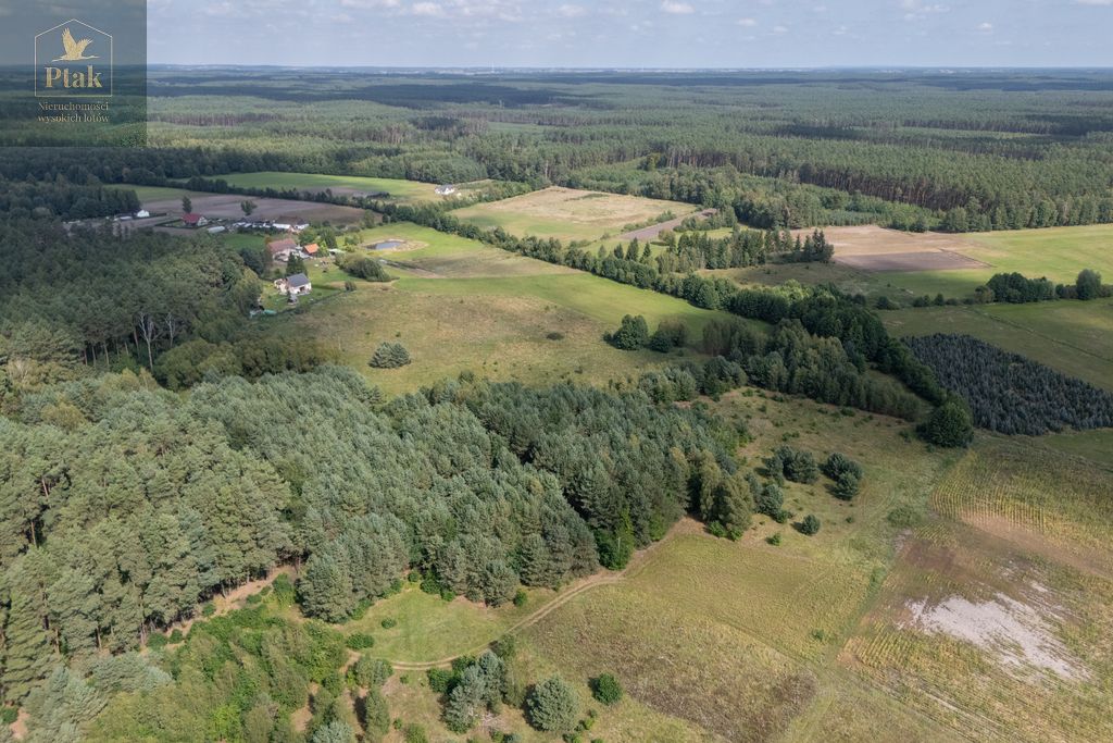 Działka rolna Obrzycko. Zdjęcie 5