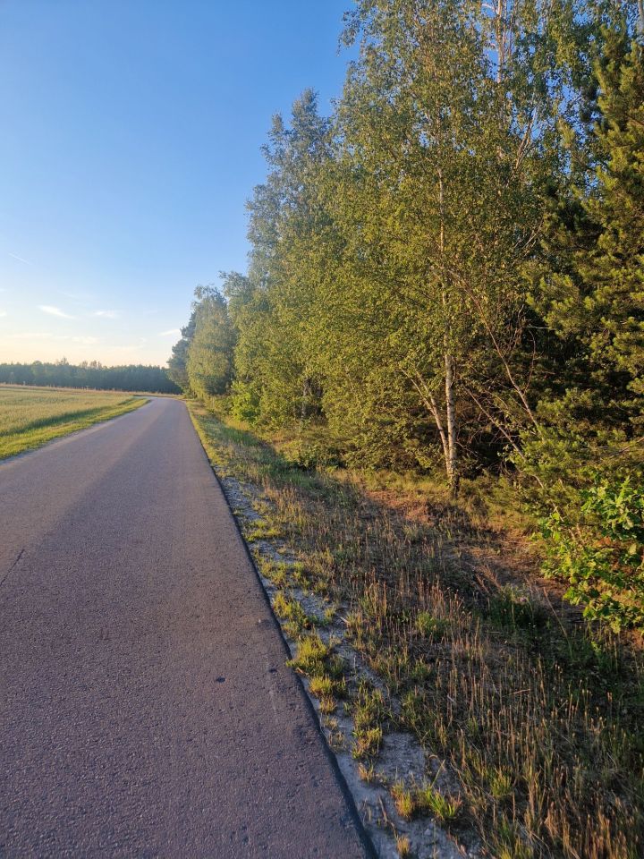 Działka leśna Brzeźnica Książęca-Kolonia. Zdjęcie 7