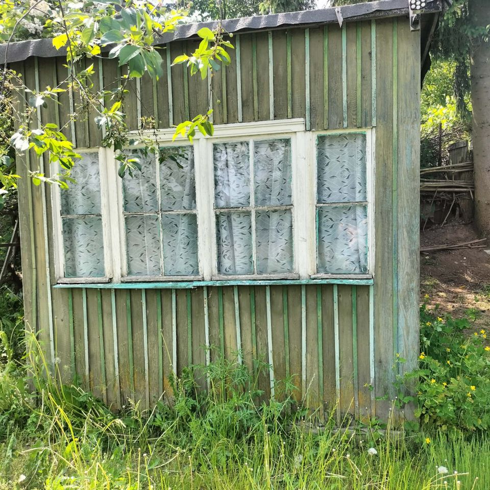 Działka rod Nowe. Zdjęcie 5