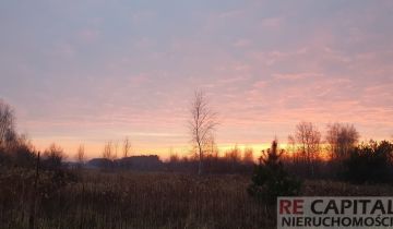 Działka siedliskowa Borzęcin Duży