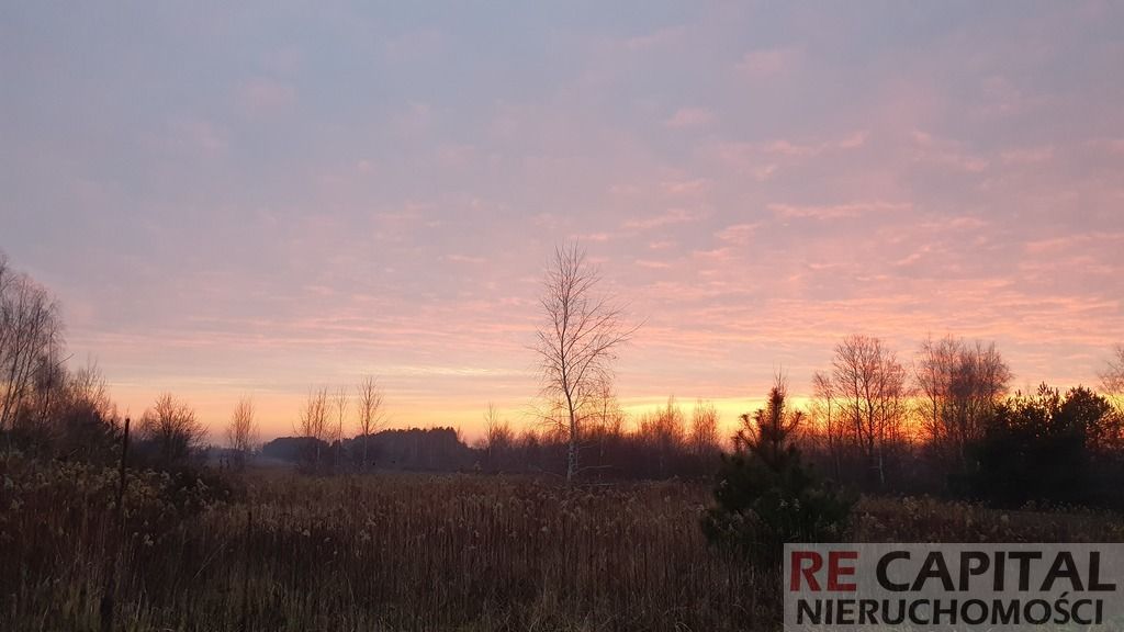 Działka siedliskowa Borzęcin Duży. Zdjęcie 2