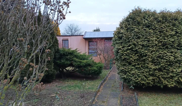 Działka rod Kalisz, ul. Złota