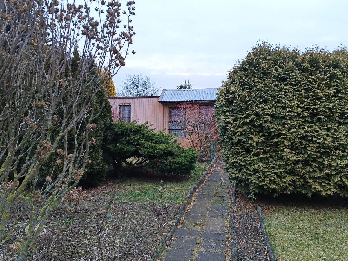 Działka rod Kalisz, ul. Złota