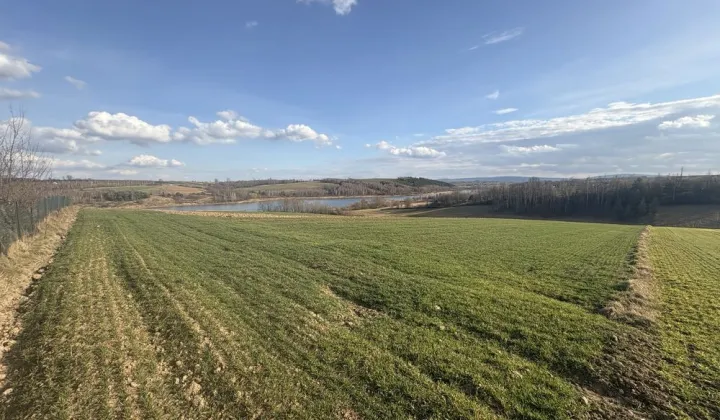 Działka rolno-budowlana Zbrza