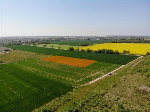 Działka budowlana Śmiechów. Zdjęcie 3