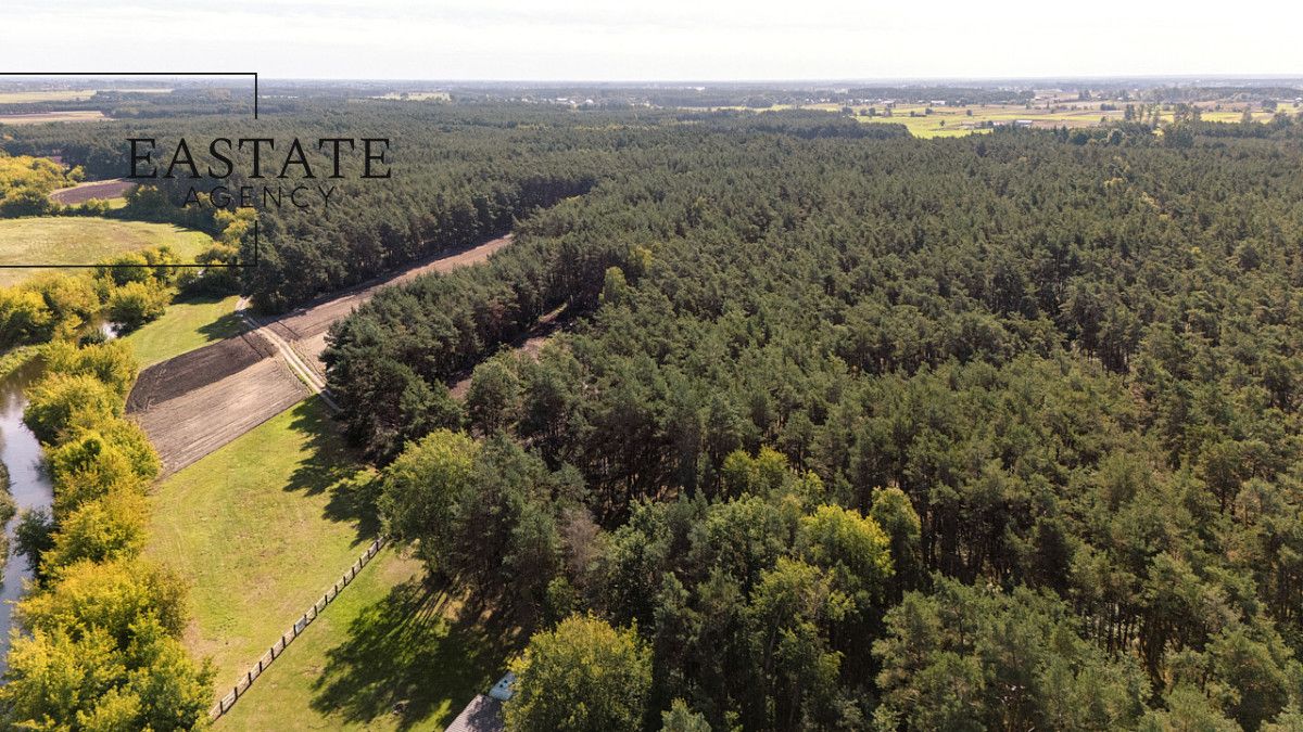 Działka leśna Maurzyce. Zdjęcie 5